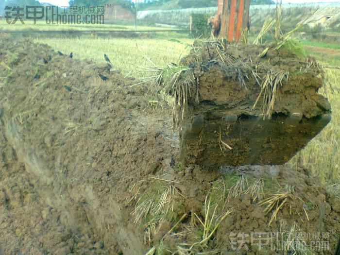 深谈挖鱼塘的技巧 我们应该怎样去挖?_铁甲工程机械网